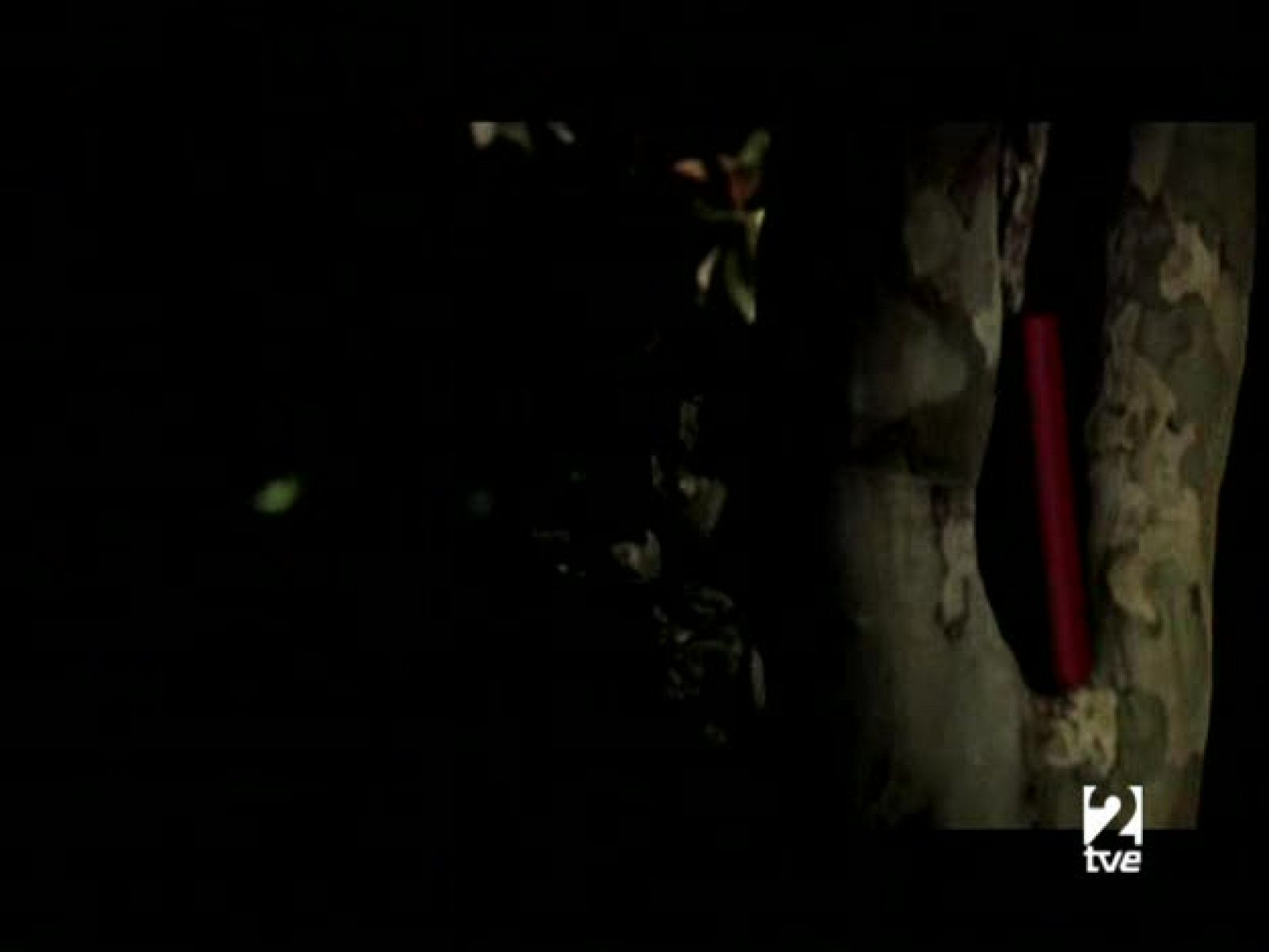 Página 2 - Entrevista: Isabel Allende