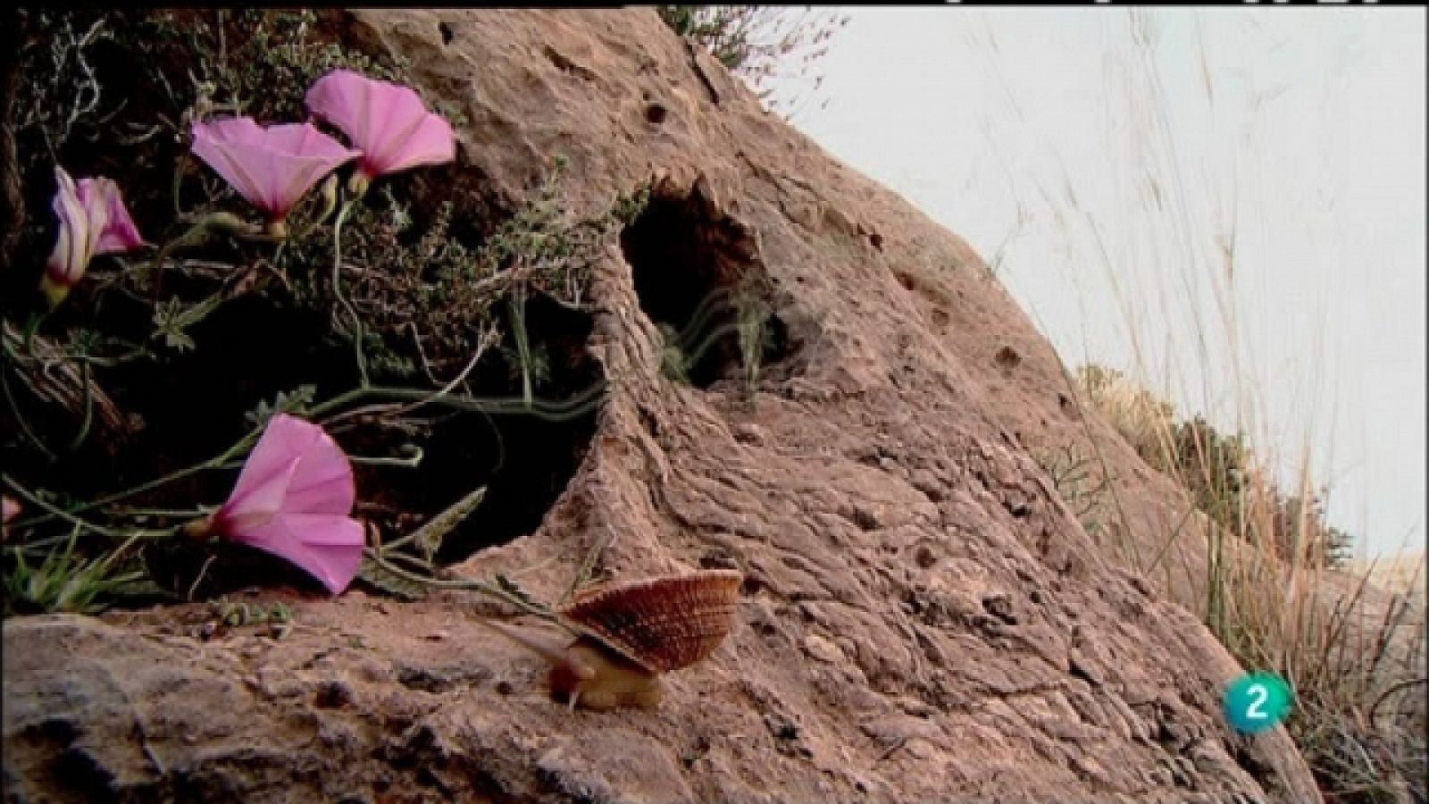 Biodiario - 15/01/11 - Biodiario | Ver