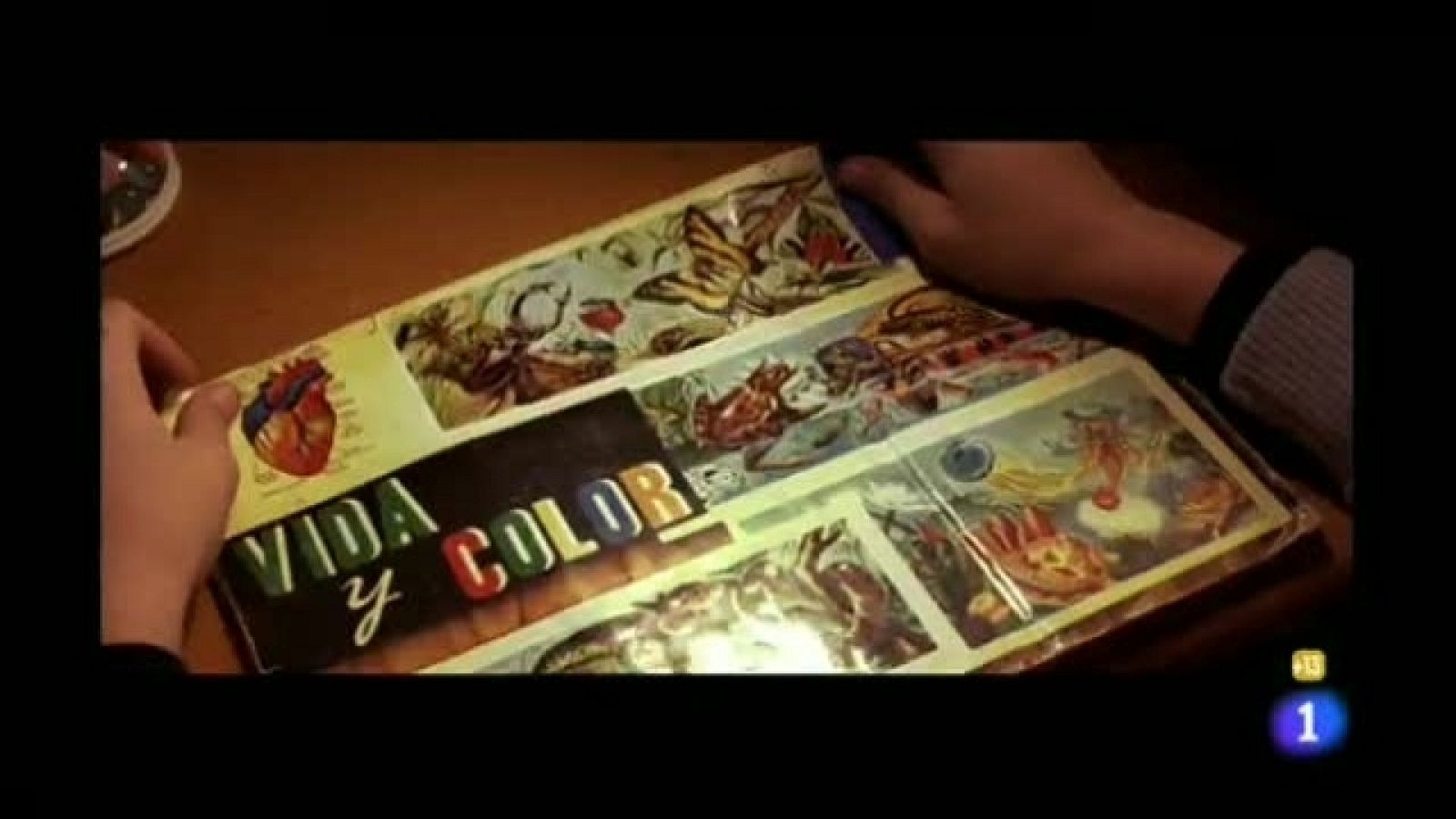 Versión Española - Vida y color - Versión española | Ver