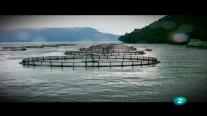  - Galicia, tierra de emprendedores