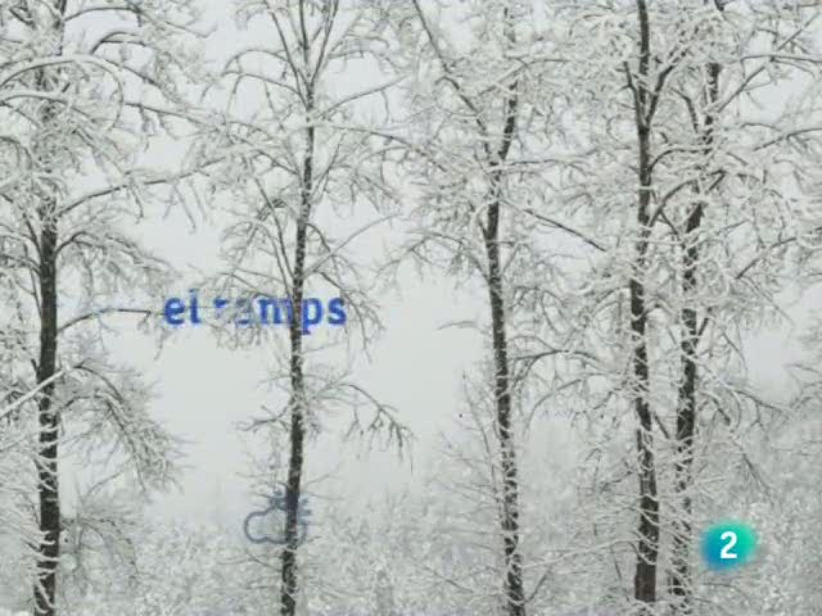 El temps (14-01-2011)