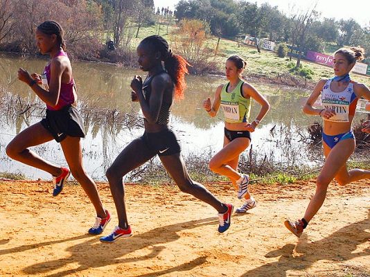  - El ejercicio físico y las arritmias