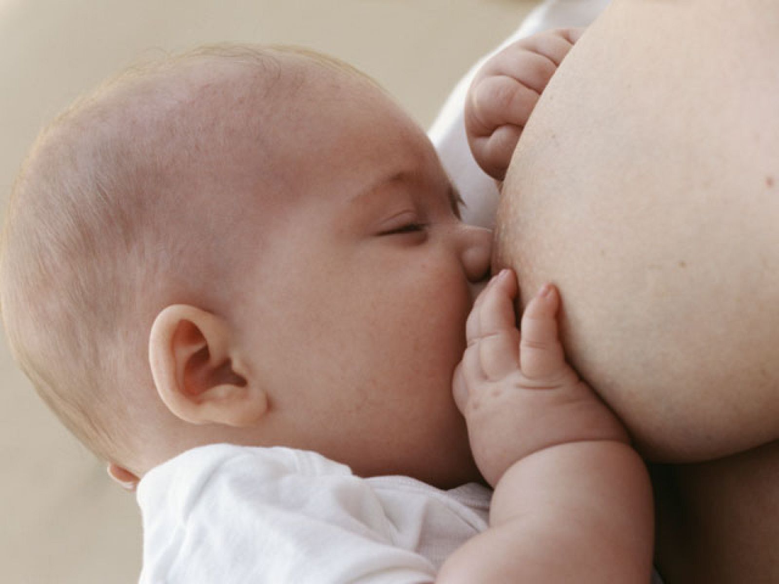 La mañana de la 1 - Cuatro panes bajo el brazo