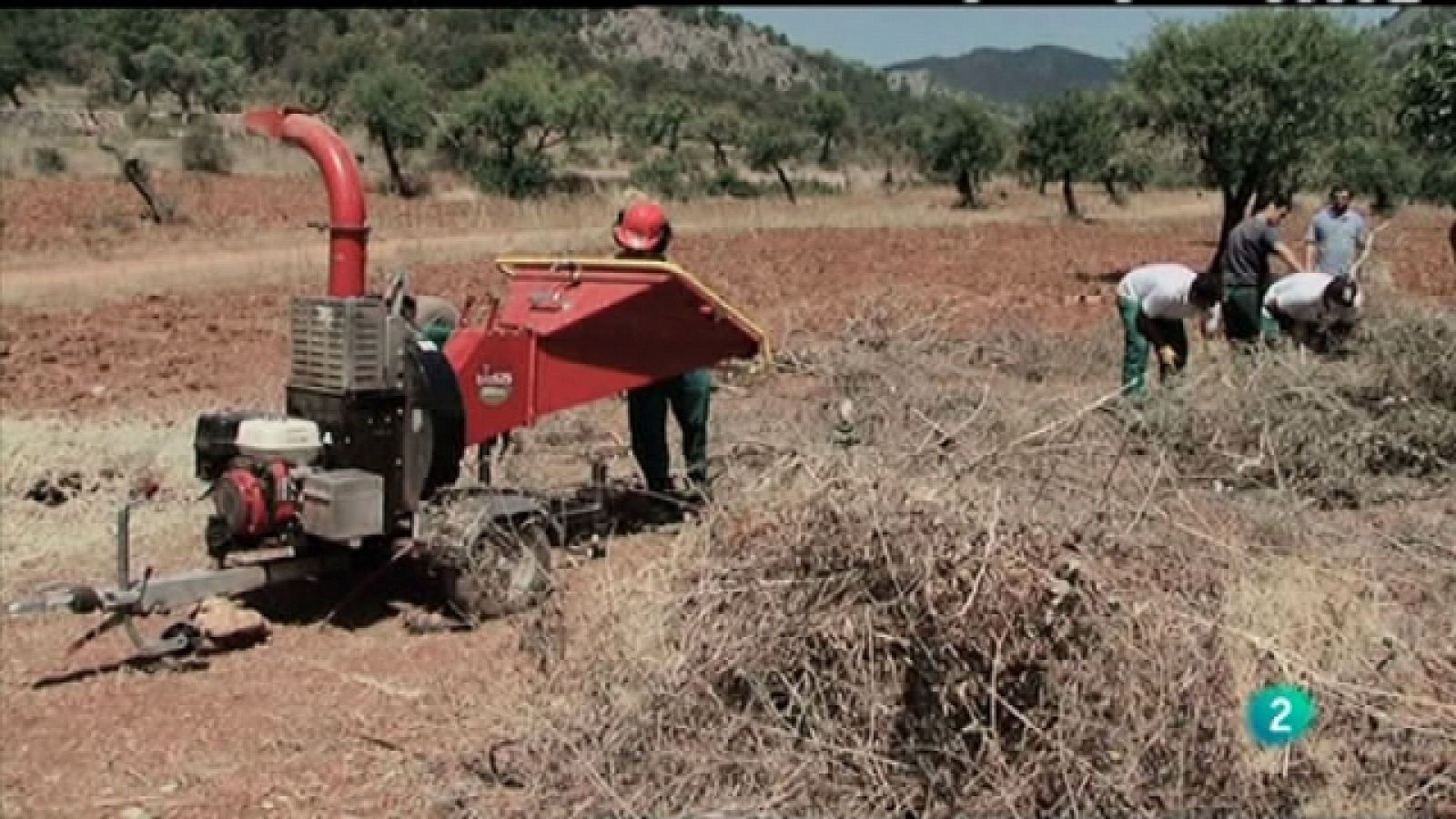 Biodiario - 17/01/11 - Biodiario | Ver