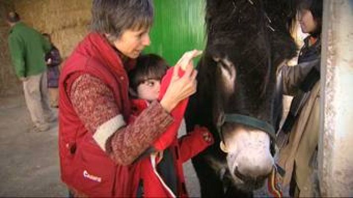 El escarabajo verde - El escarabajo verde