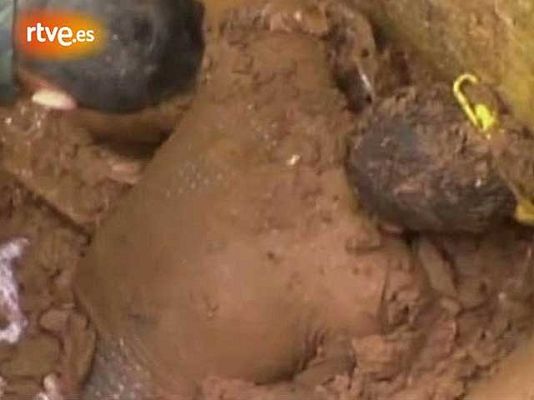  - Milagroso rescate en Brasil