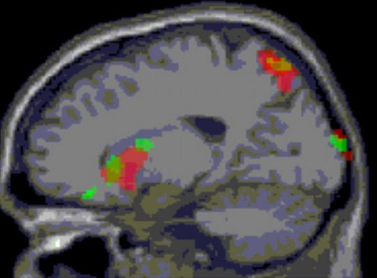 Telediario 1 - Incapacidad para sentir frustración