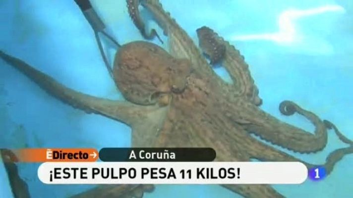 España Directo - España Directo - 18/01/11