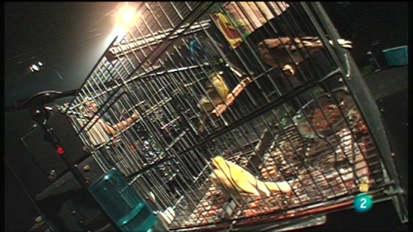 Los Conciertos de Radio 3 - Rosvita - Los conciertos de Radio 3 en La 2 | Ver