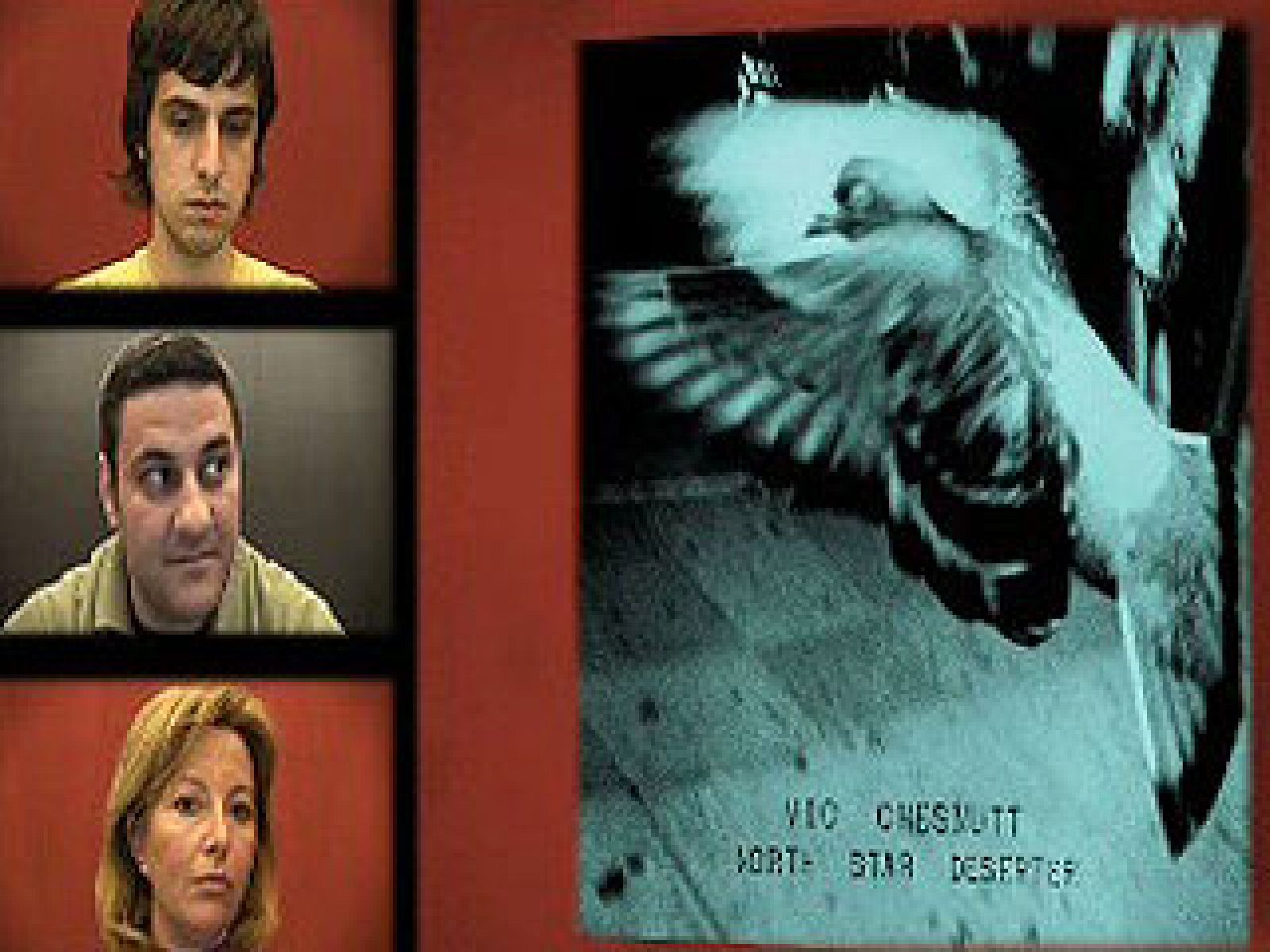 Zzz - Puntos de vista - North Star Deserter