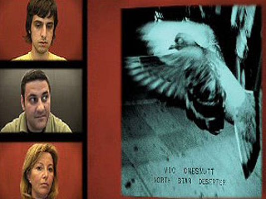 Zzz - North Star Deserter