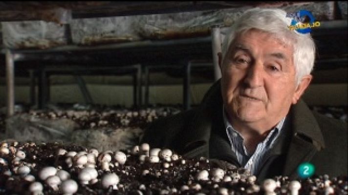 Aquí hay trabajo - Aquí hay trabajo - 20/01/11