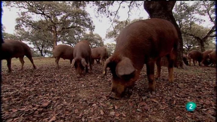Biodiario - Biodiario - 20/01/11