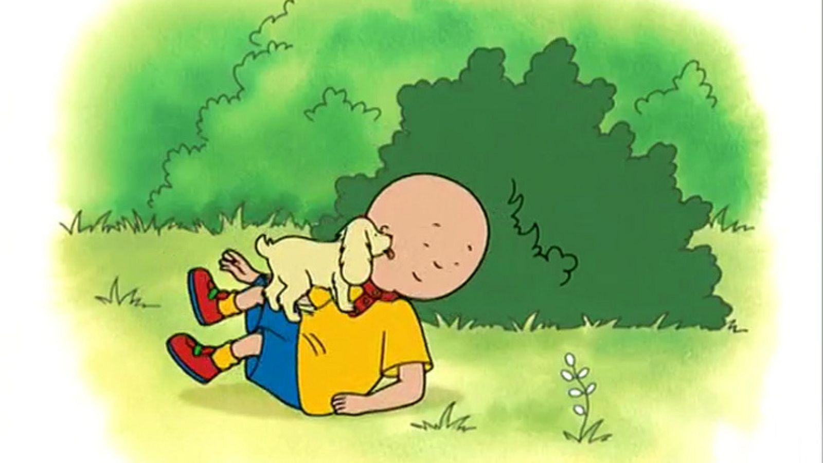 Caillou y los cachorros - Caillou | Ver