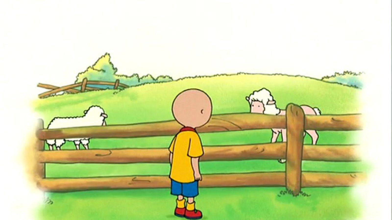Caillou y la oveja - Caillou | Ver