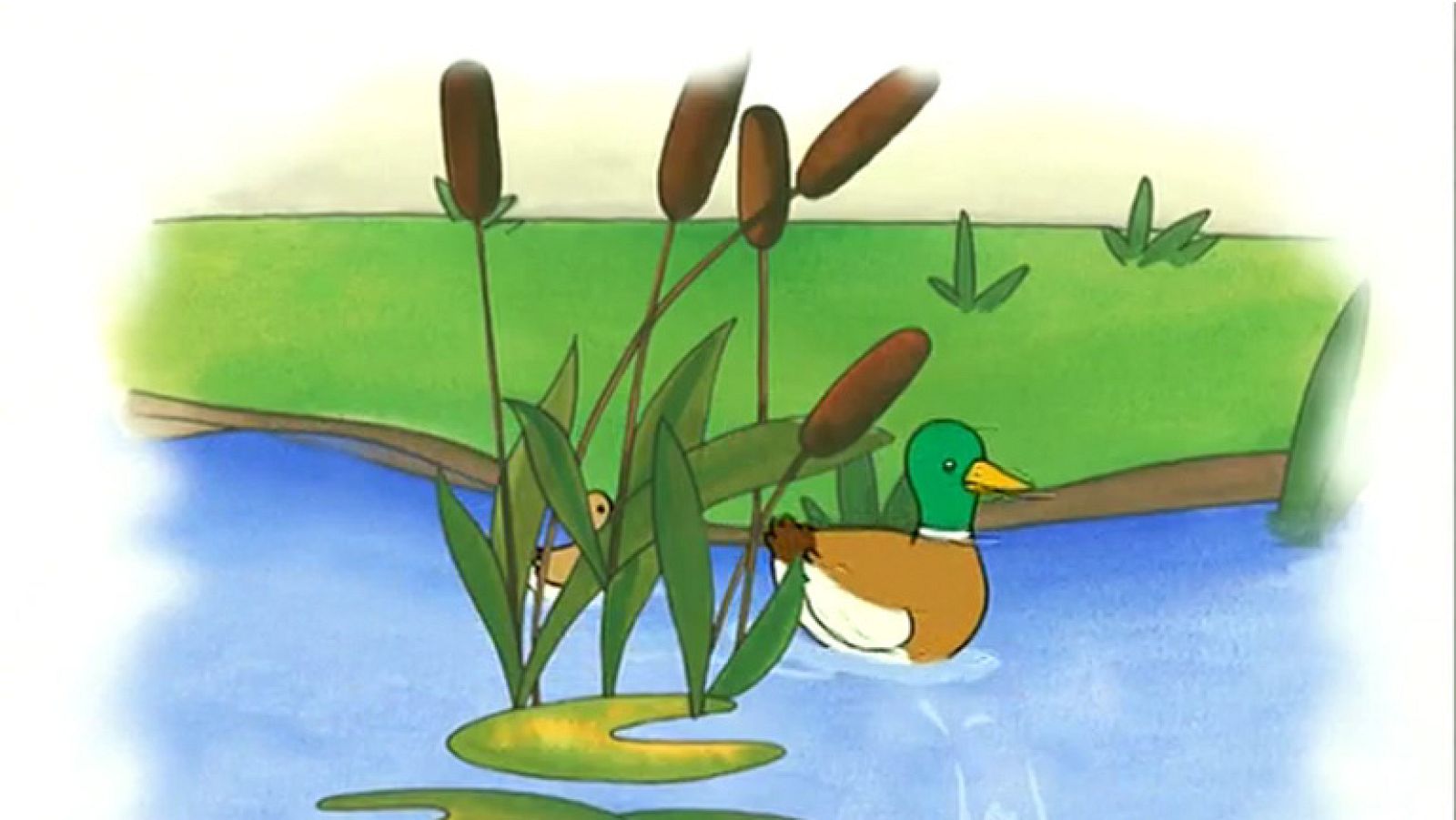 La familia de patos - Caillou | Ver