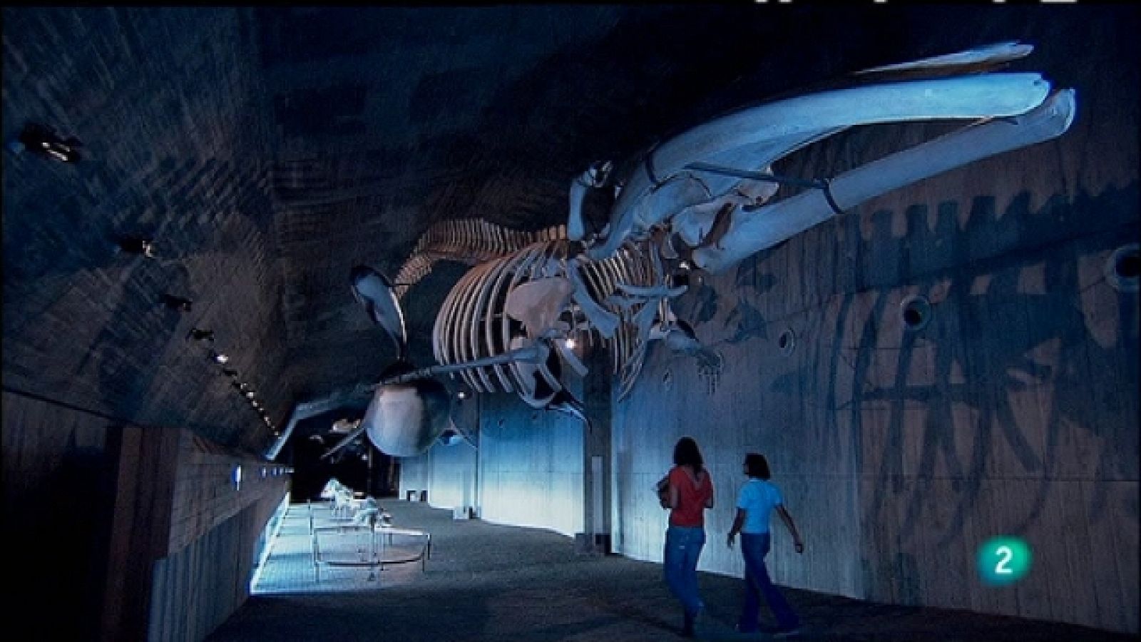 Biodiario - 21/01/11 - Biodiario | Ver