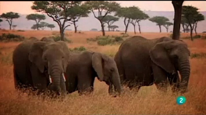 Universo UNED - UNED - 22/01/11