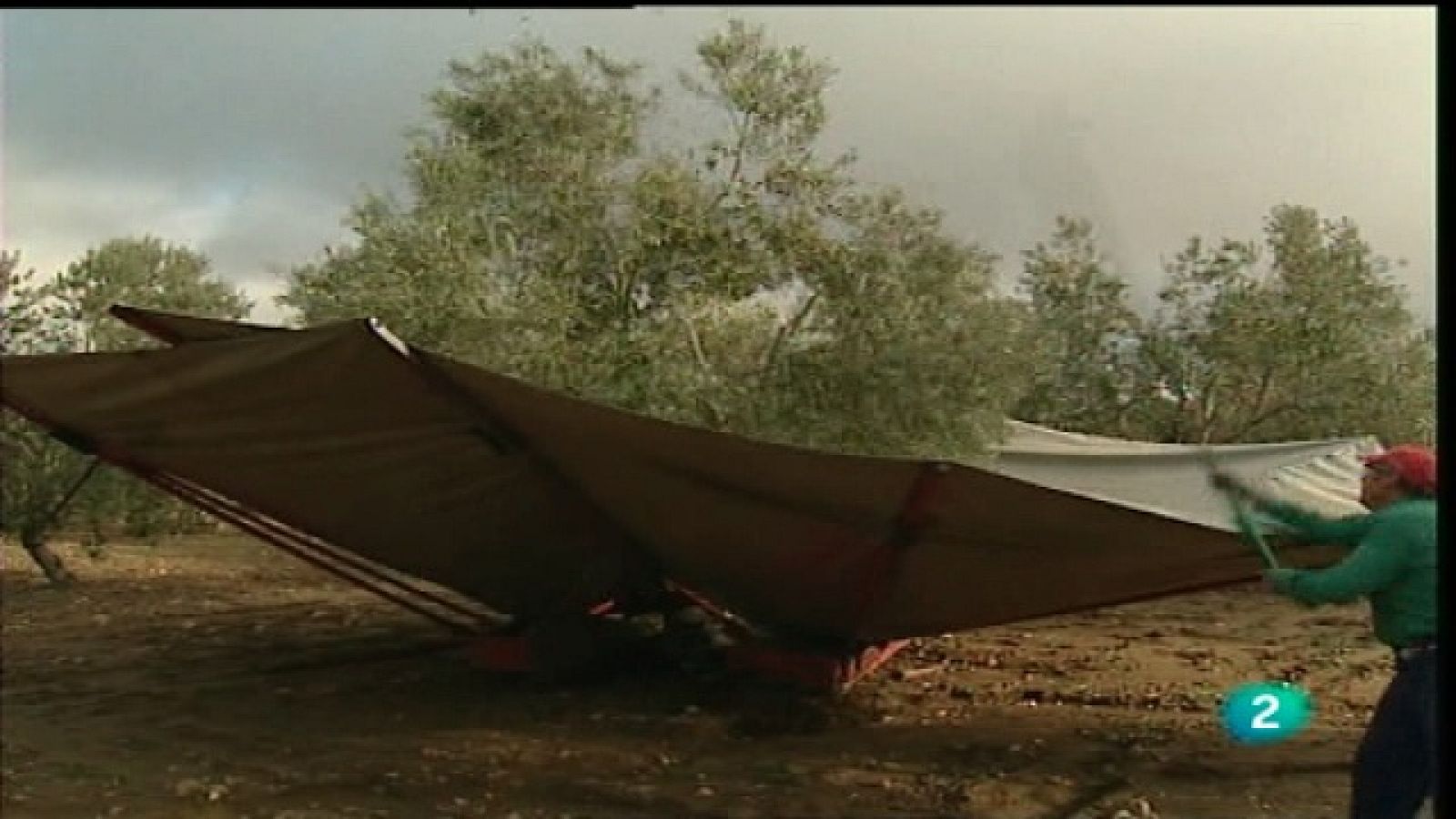 Agrosfera - 22/01/11 - Agrosfera | Ver