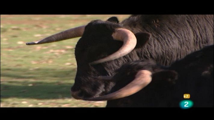 Tendido cero - Tendido cero - 22/01/11