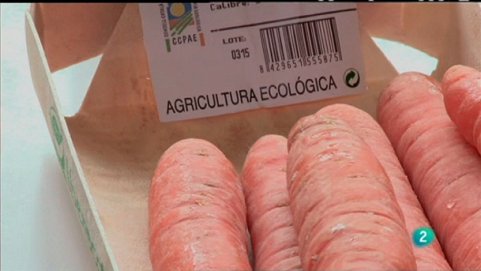 Biodiario - 22/01/11 - Biodiario | Ver