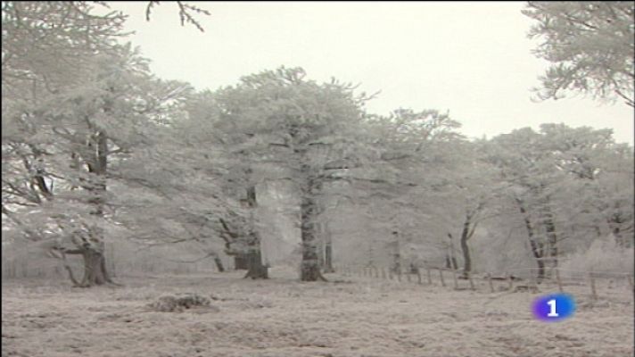 Telediario 1 - Telediario - 21 horas - 22/01/11