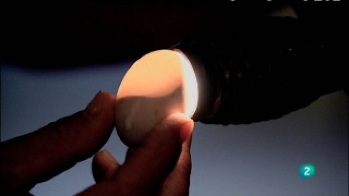 Biodiario - Biodiario - 23/01/11