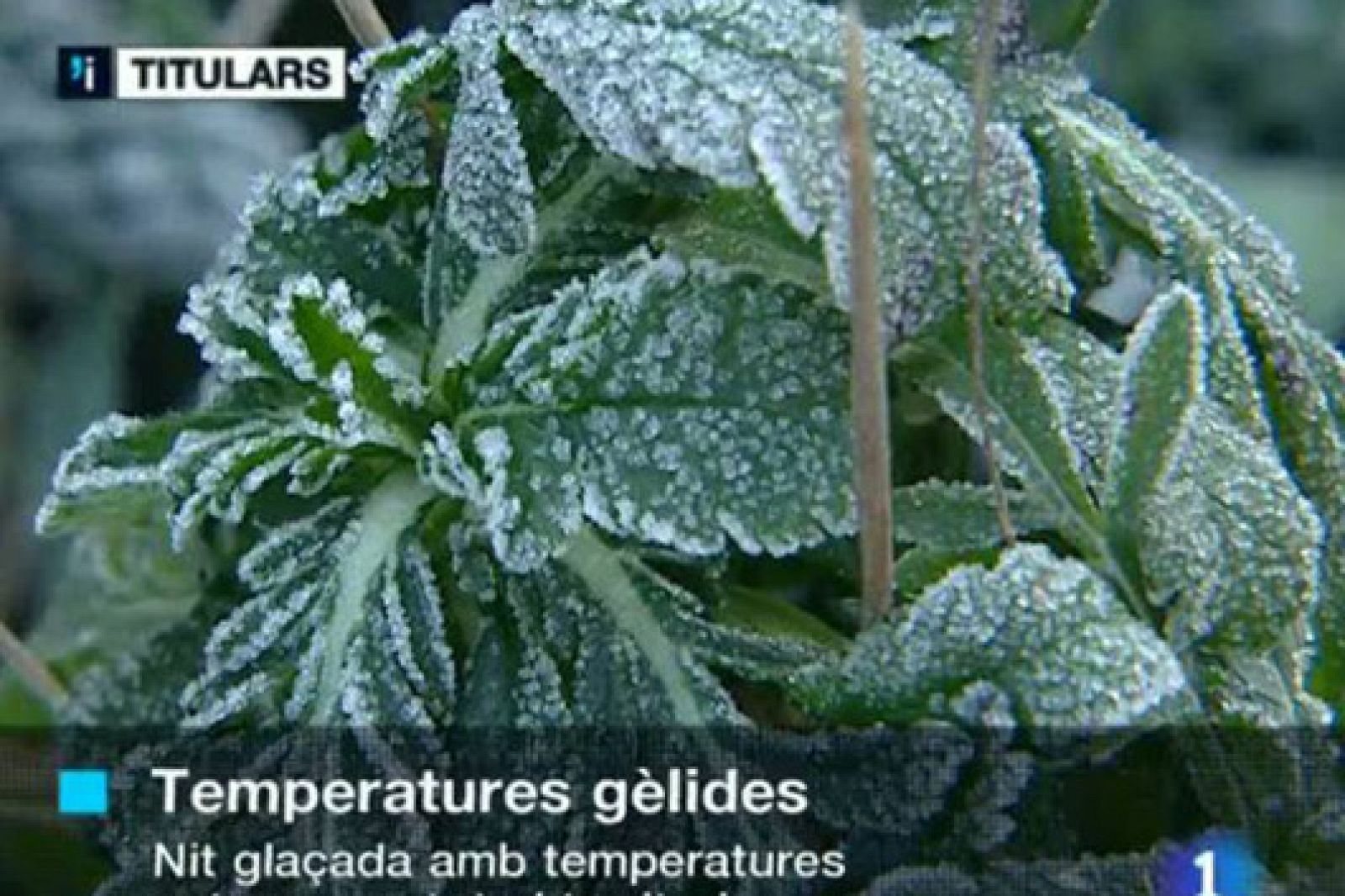 L'informatiu migdia en 3 minuts 24-01-11