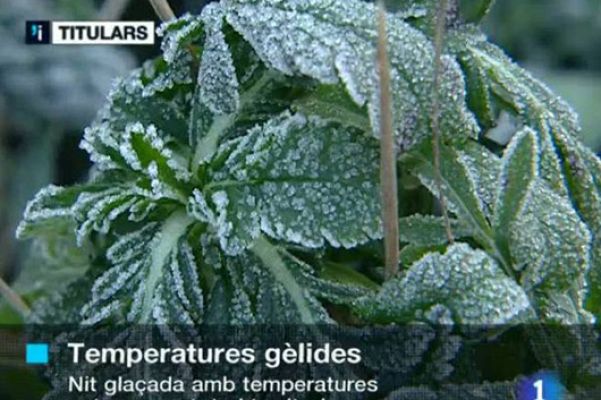 L'Informatiu - Catalunya en 2' - 24/01/11