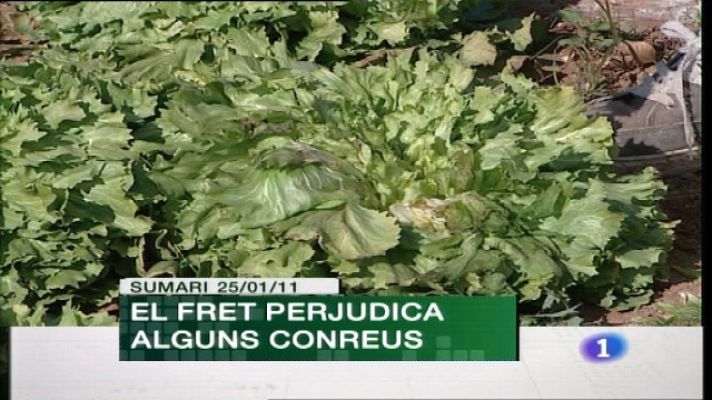 L'informatiu - Comunitat Valenciana - Comunidad Valenciana en 2' - 25/01/11