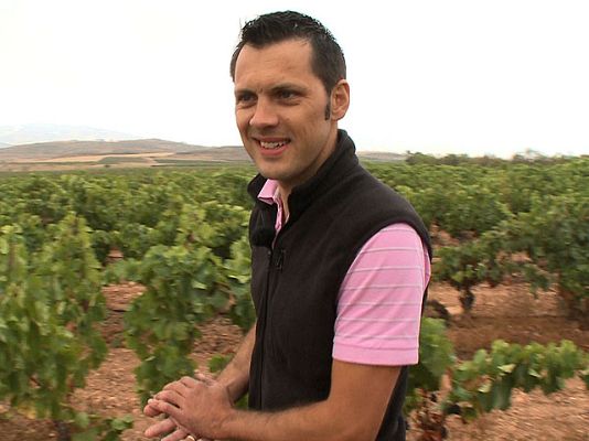 Destino: España - La Rioja - Oliviere