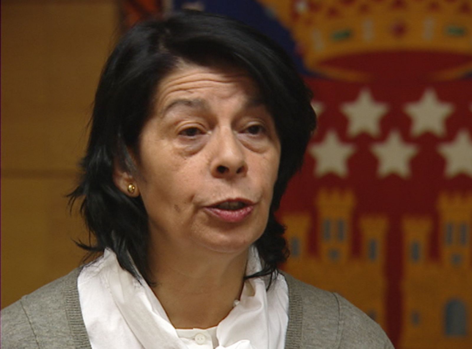 Informativo de Madrid - 26/01/11