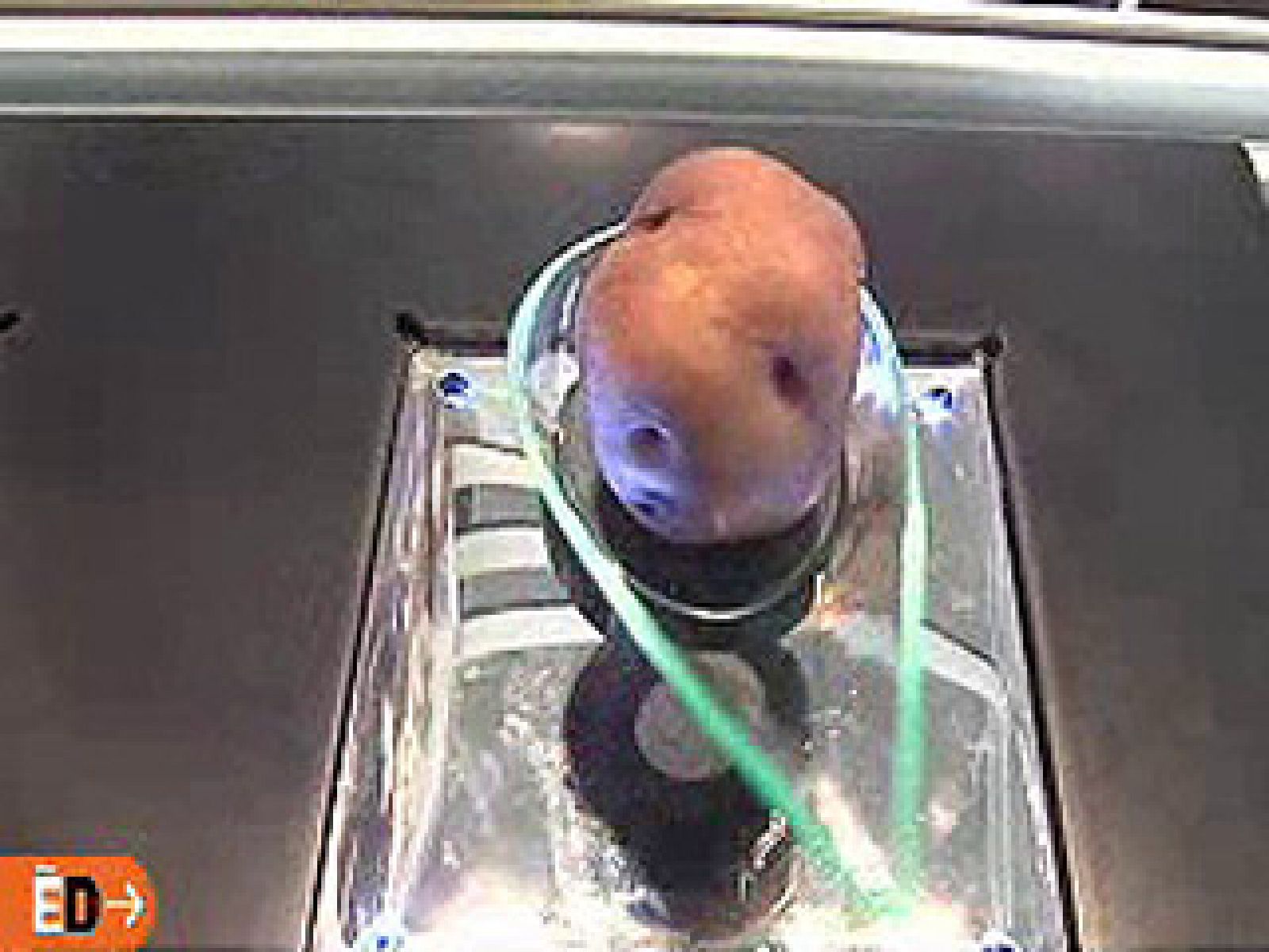 España Directo - La cocina más experimental